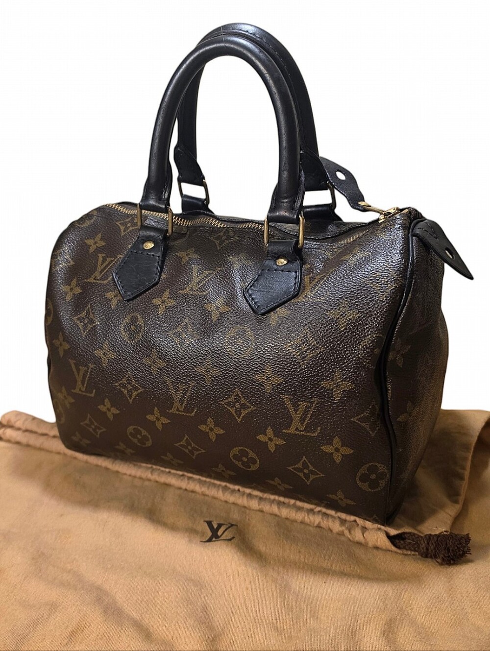 LOUIS VUITTON SPEEDY 25 BAG